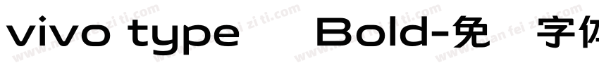 vivo type 简 Bold字体转换